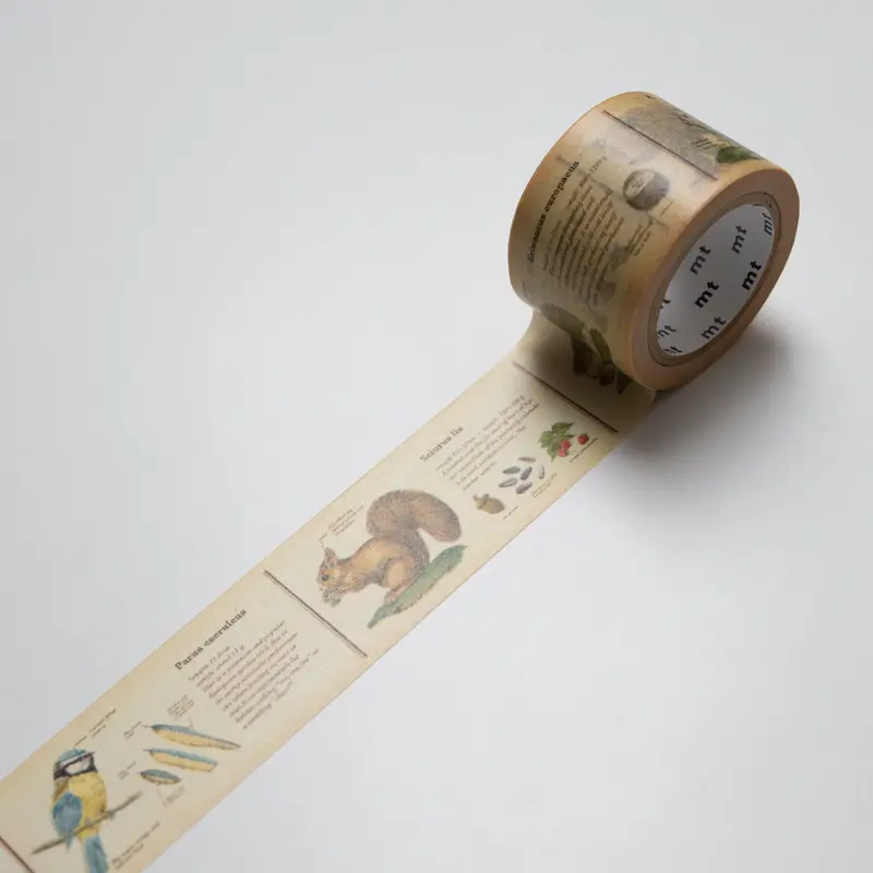 MT Masking tape Encyclopedia Animal