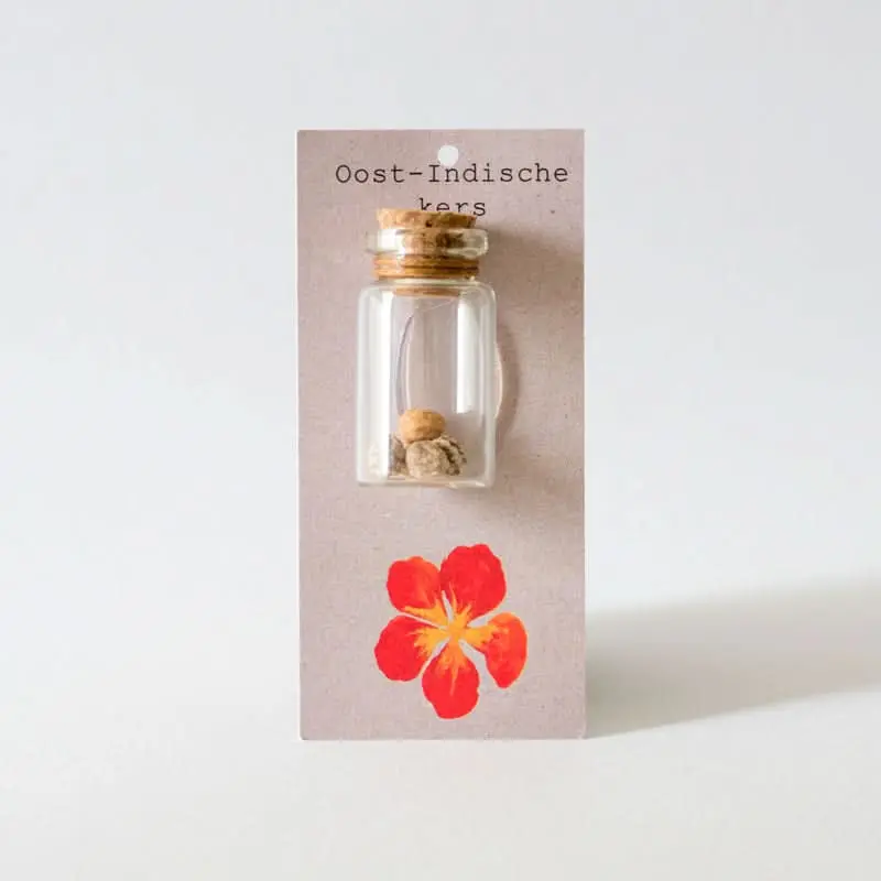 Oost-Indische kers