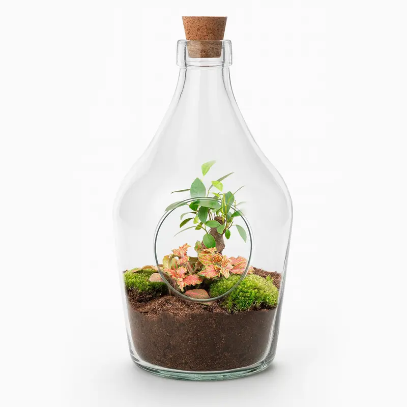 Open terrarium John - Bonsai & Ruby Lime ↑ 30 cm