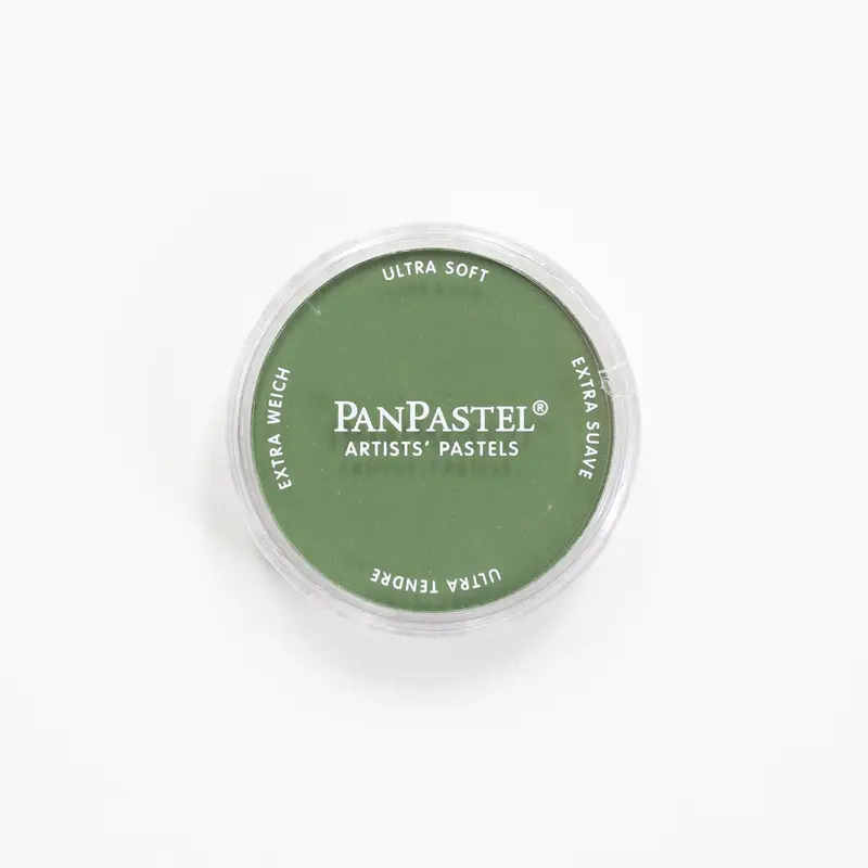 PanPastel 660.3 Chromium Oxide Green Shade