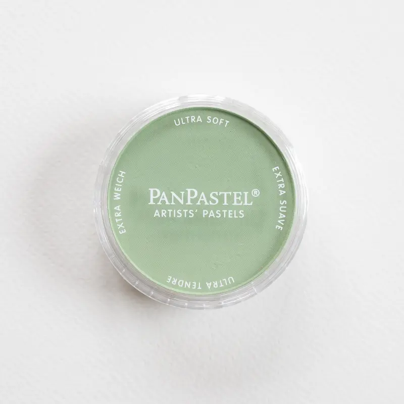 PanPastel 660.7 Chromium Oxide Green Light