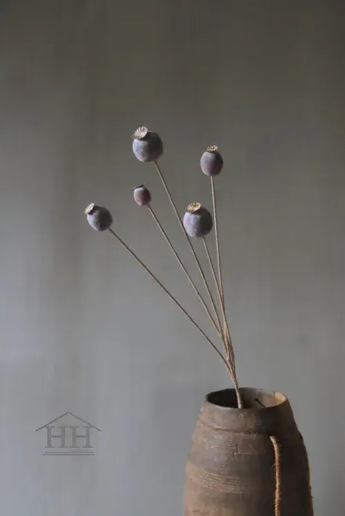 Papaver kunsttak grijs - 75 cm