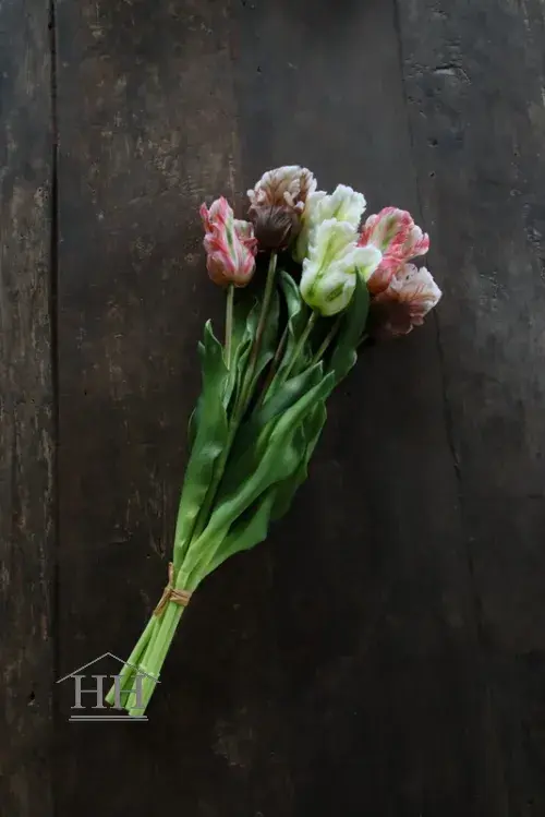Papegaai tulpen bundel roze wit mauve mix - 52cm