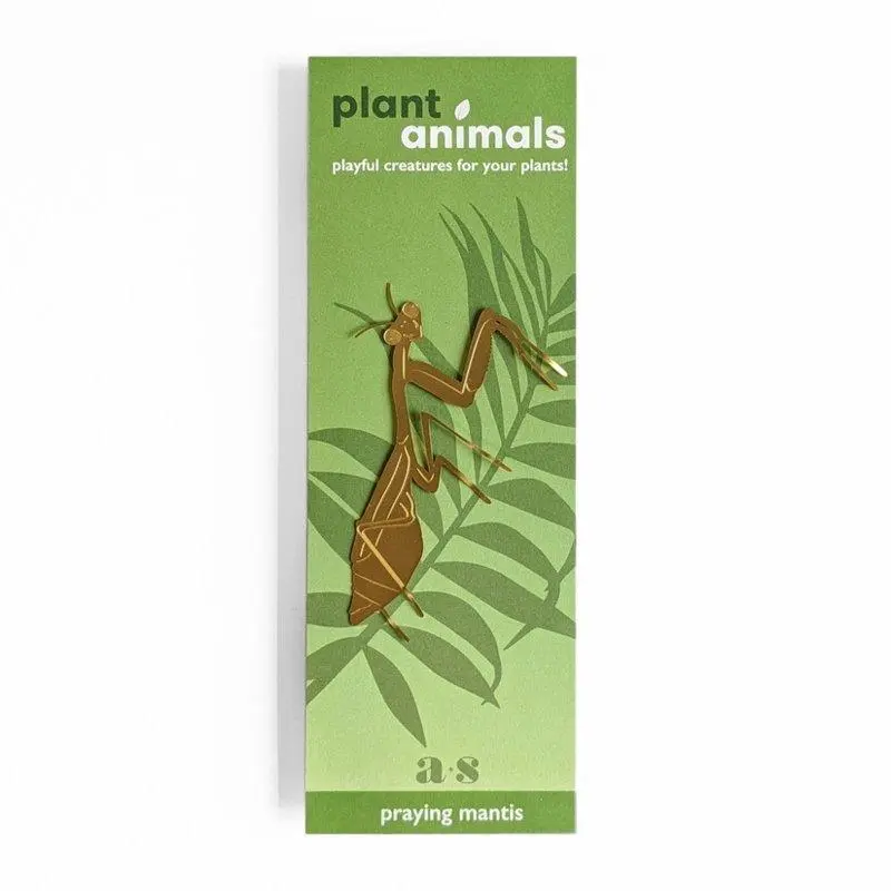 Planten diertje bidsprinkhaan