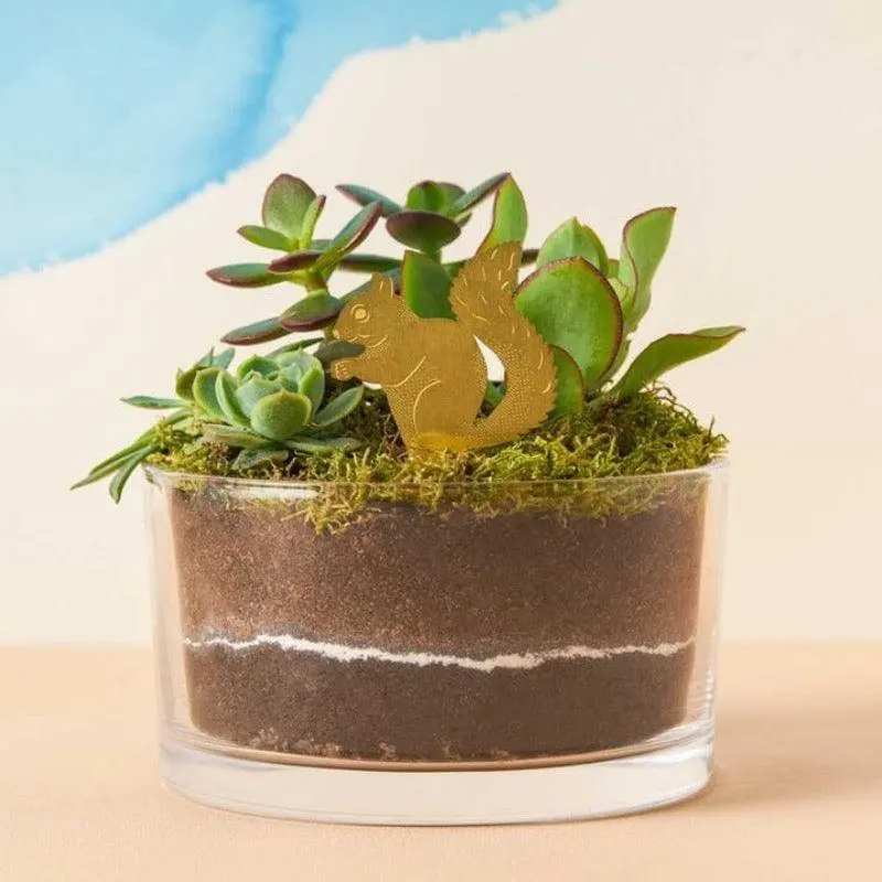 Planten Diertje Eekhoorn