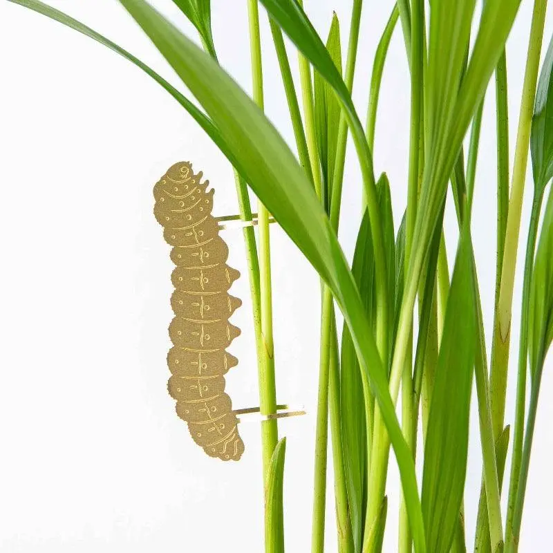 Planten Diertje Rups
