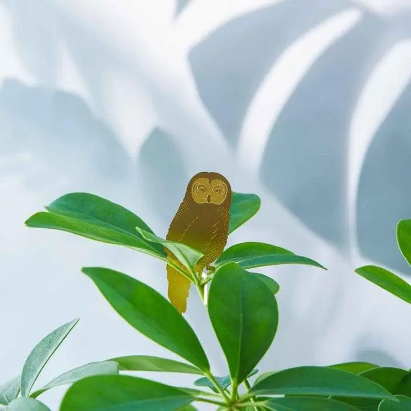 Planten Diertje Uil