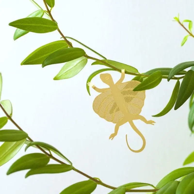 Planten Diertje Vliegende Hagedis