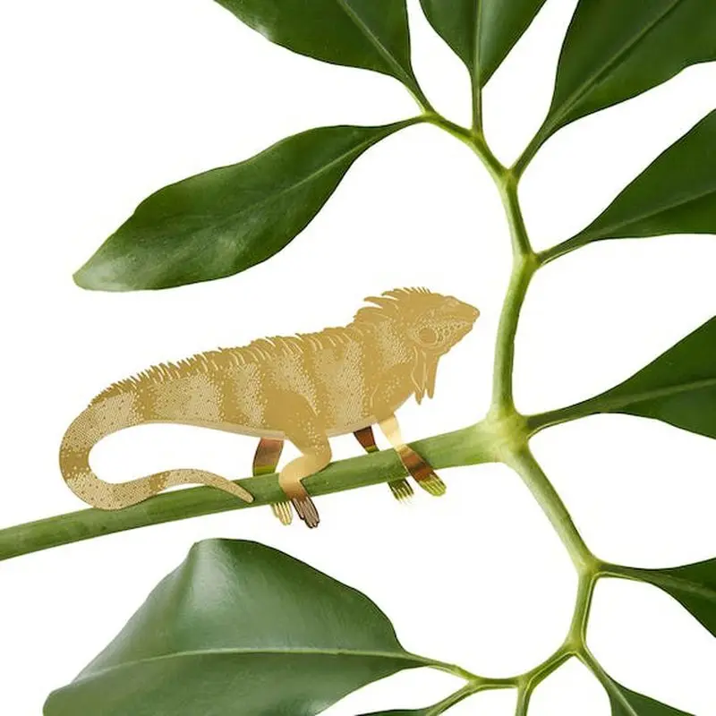 Planten Diertje XL | Leguaan