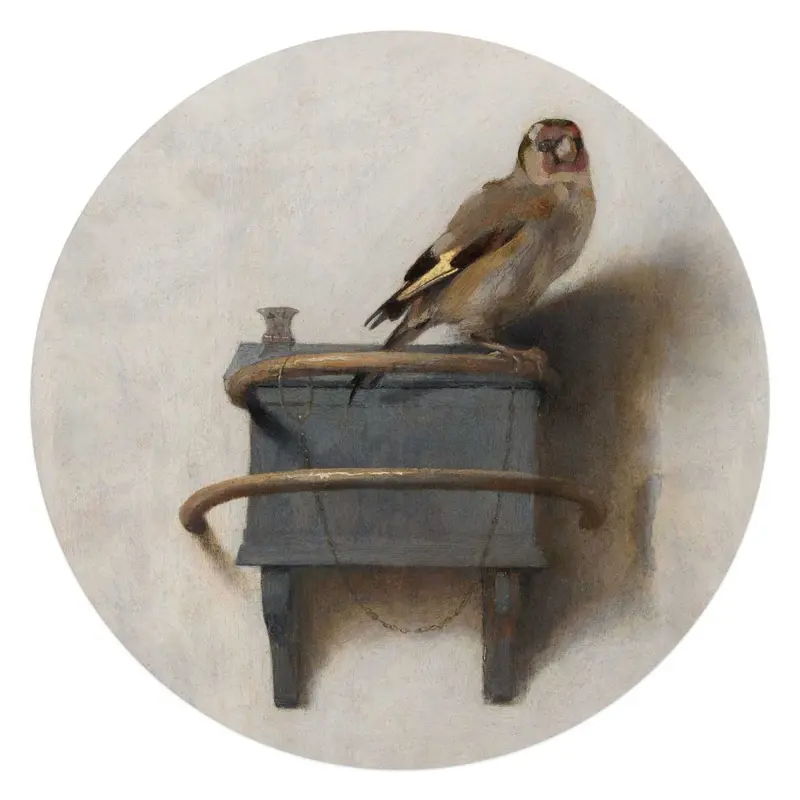 Plexiglasschilderij Carel Fabritius Het Puttertje 70 Rond