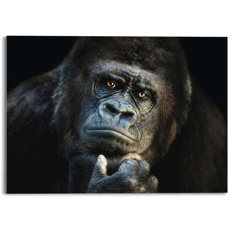 Plexiglasschilderij Gorilla 50x70