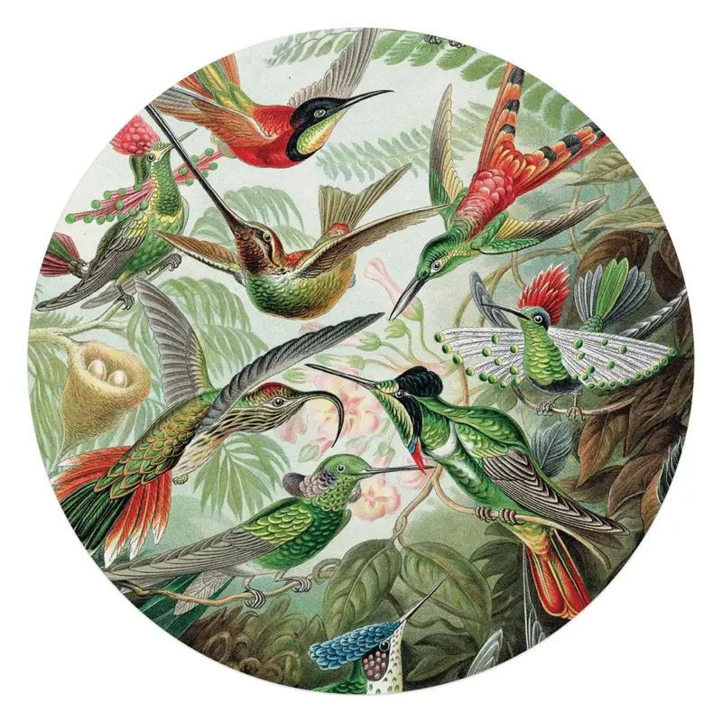 Plexiglasschilderij Hummingbirds 70 Rond