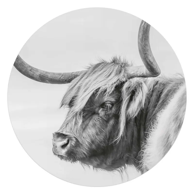 Plexiglasschilderij Schotse Hooglander 70 Rond