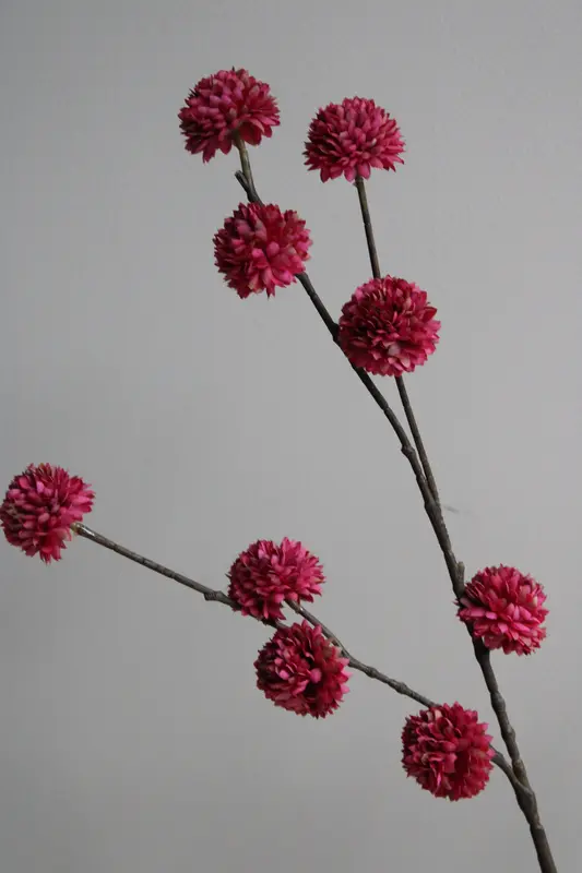 POM POM TAK | BURGUNDY | 100CM