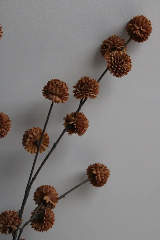 POM POM TAK | COFFEE | 100CM