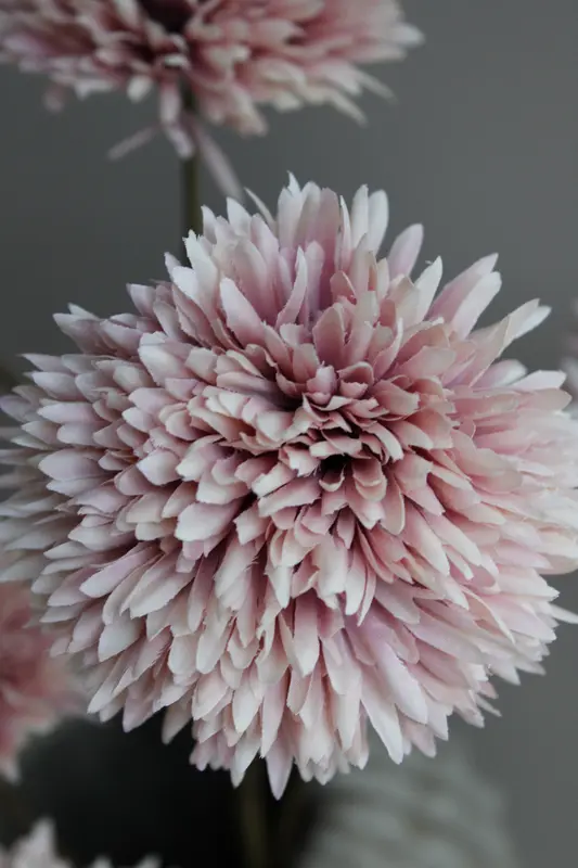 POM POM TAK | GIANT | CHAMPAGNE | 108CM