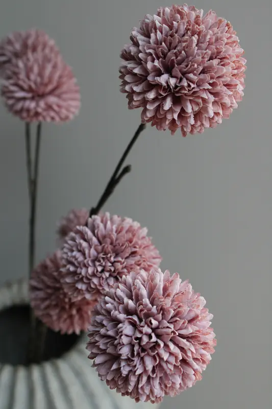 POM POM TAK | MAUVE | 96CM