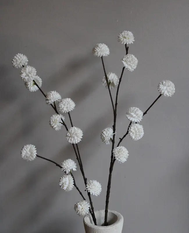 POM POM TAK | WHITE