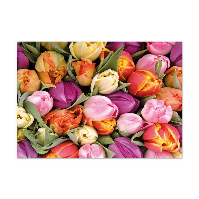 Postcard Tulpen - 10 stuks