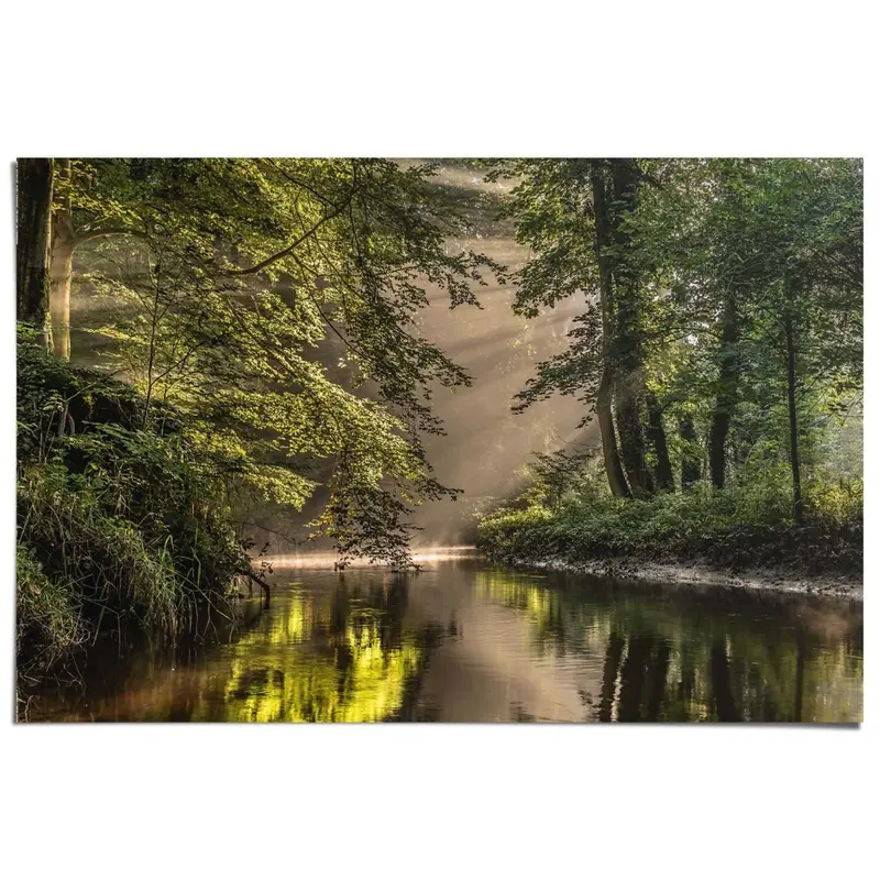 Poster Beek in het bos 61x91,5