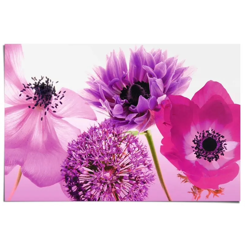 Poster Bloemen 61x91,5