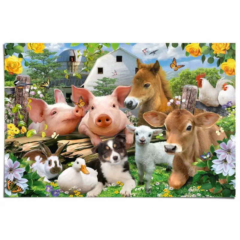 Poster Boerderijdieren 61x91,5