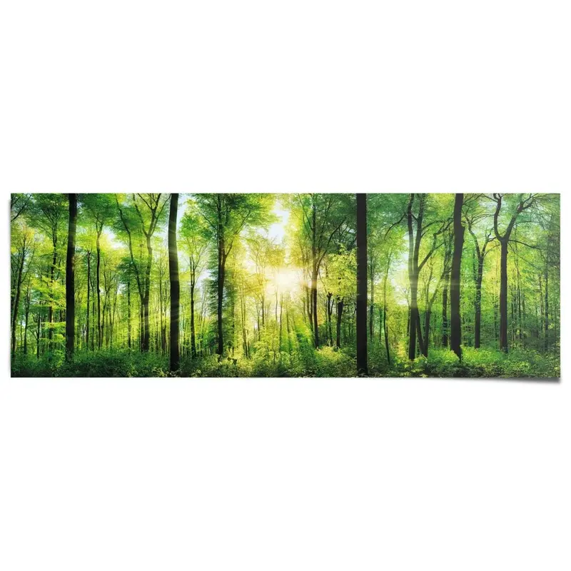 Poster Bos in zonneschijn 53x158