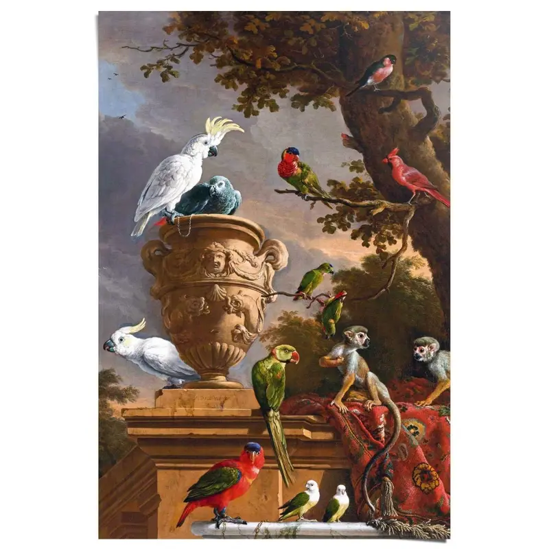 Poster d´Hondecoeter Melchior d´Hondecoeter 91,5x61