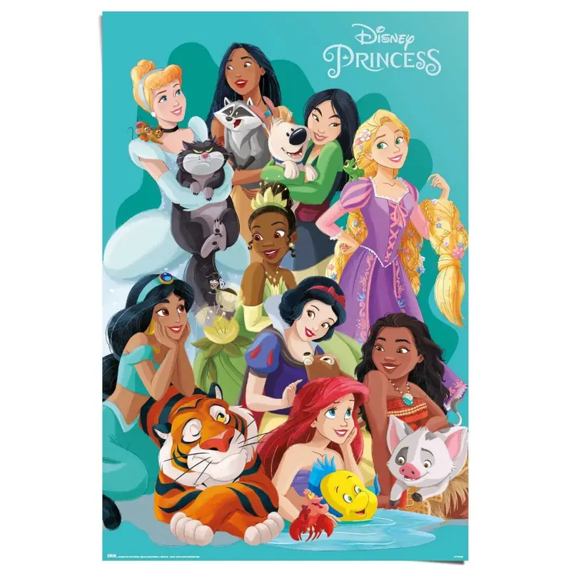Poster Disney prinsessen 91,5x61