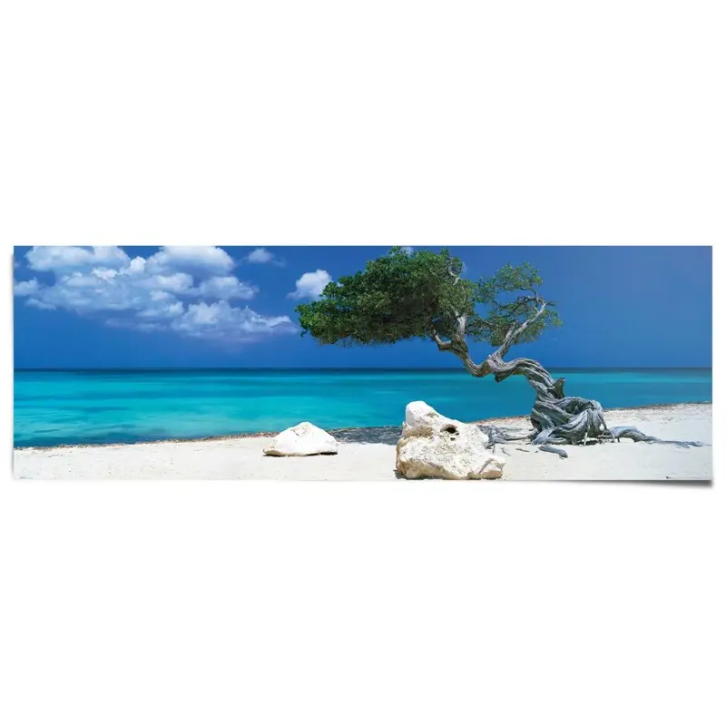 Poster Divi Divi boom 53x158