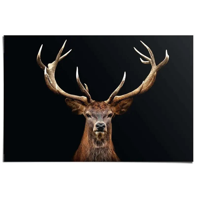 Poster Hert 61x91,5