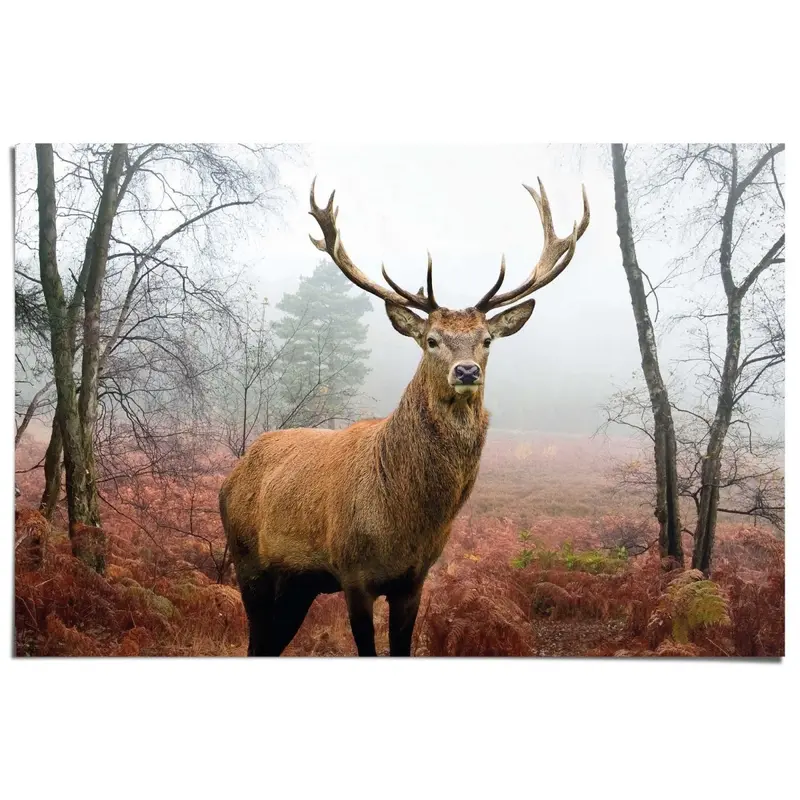 Poster Hert in het bos 61x91,5