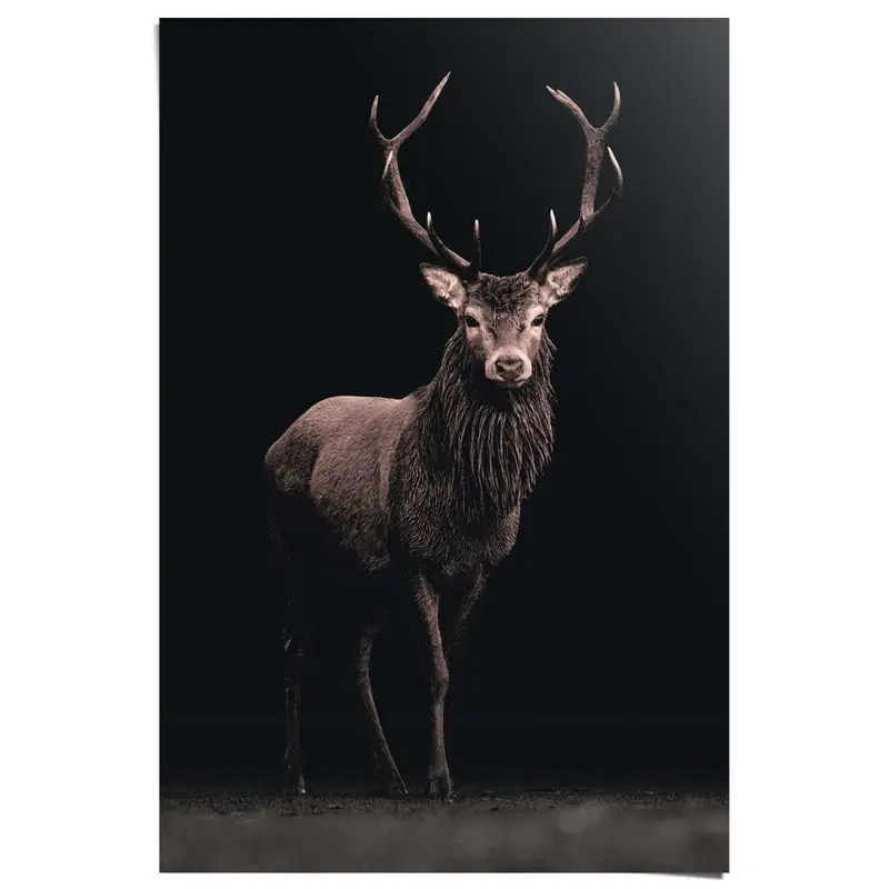 Poster Hert zwart 91,5x61