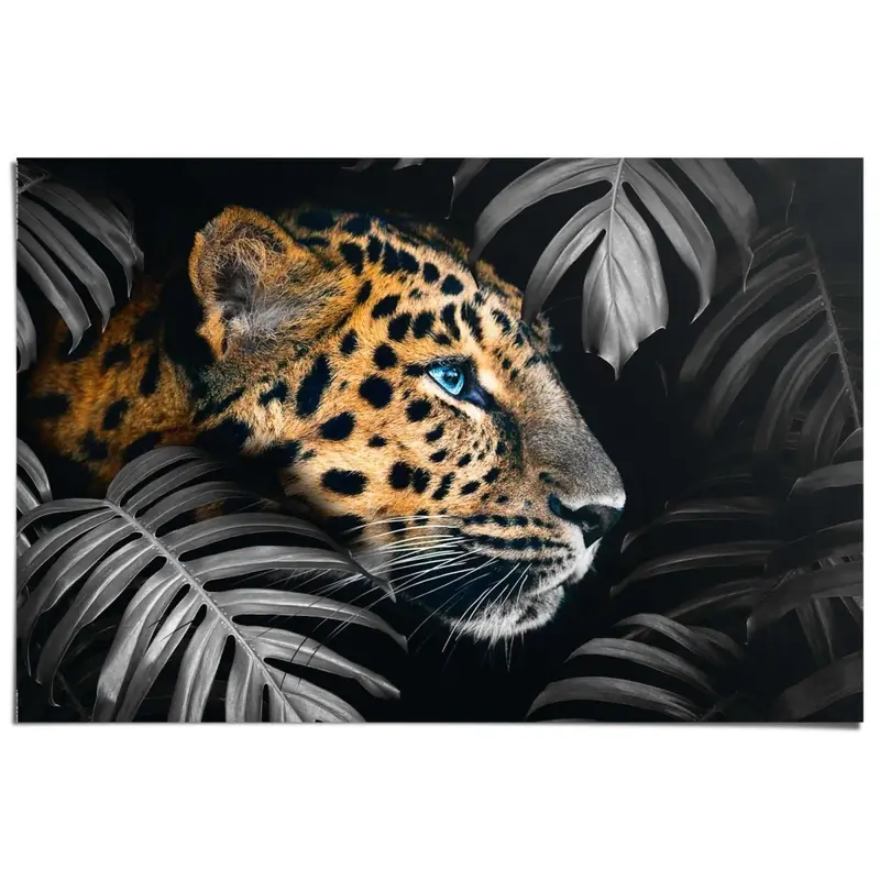 Poster Jungle luipaard 61x91,5