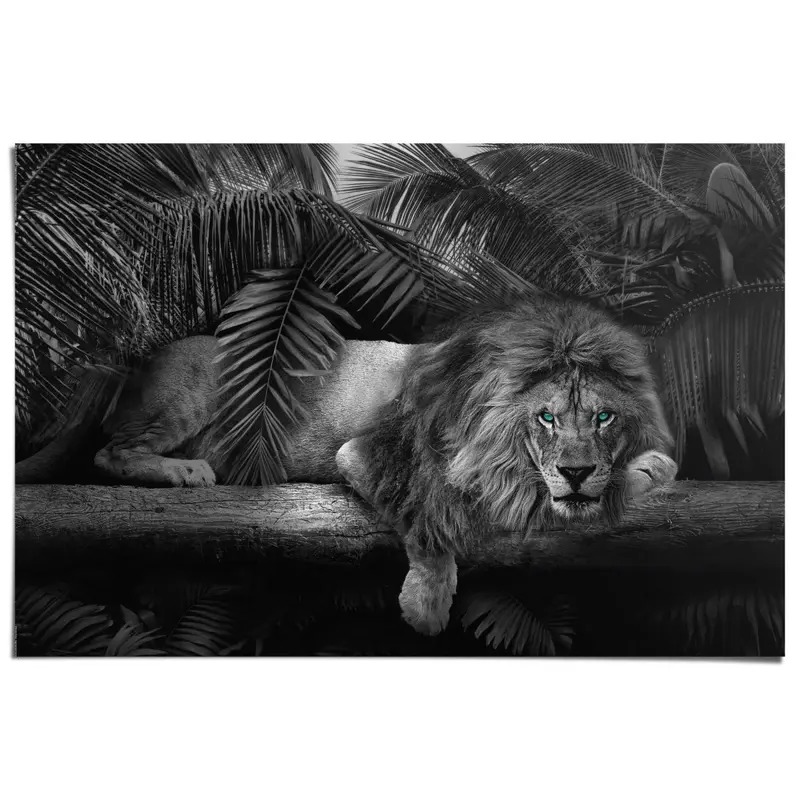 Poster Leeuw 61x91,5