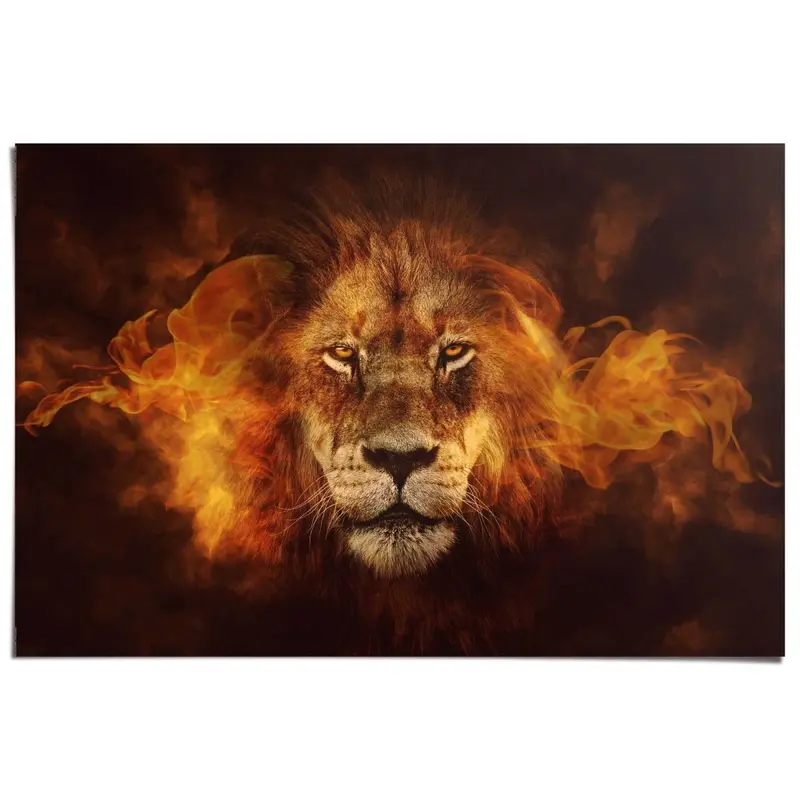 Poster Lion on fire 61x91,5
