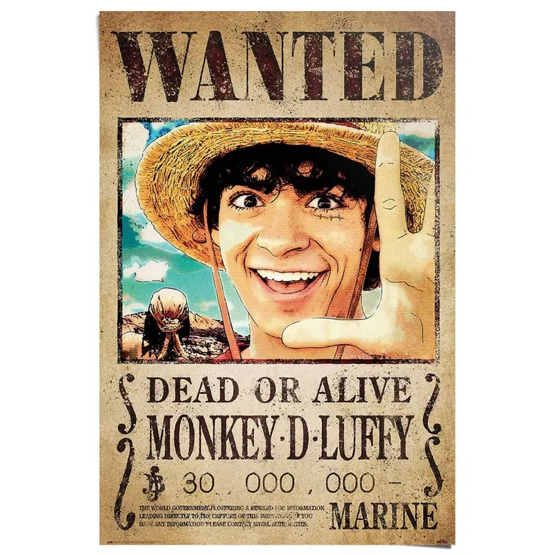 Poster One Piece - wanted monkey d. Luffy 91,5x61