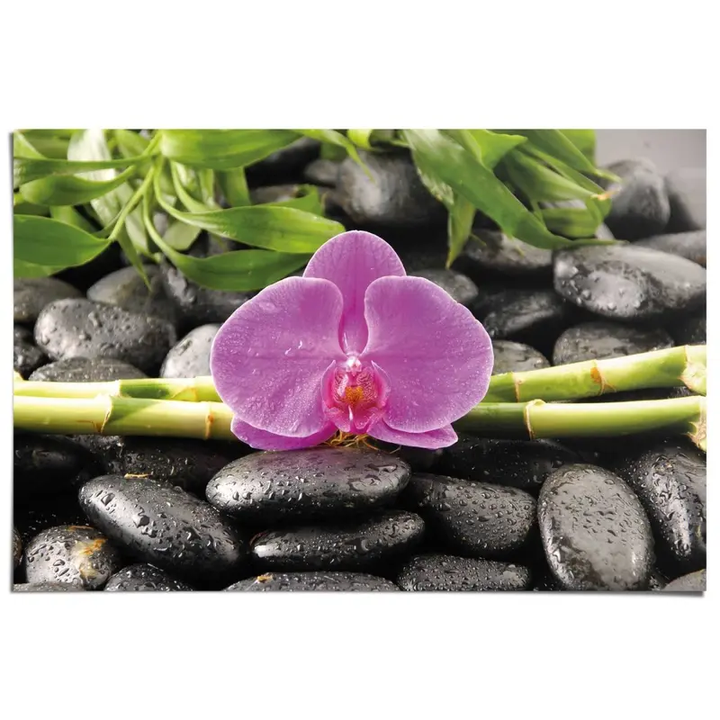 Poster Orchidee 61x91,5