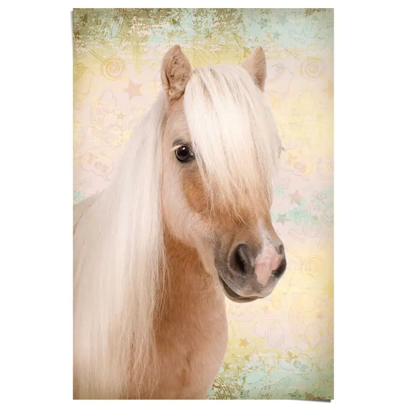 Poster Schattige Pony 91,5x61