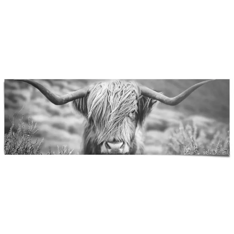 Poster Schotse Hooglander 53x158