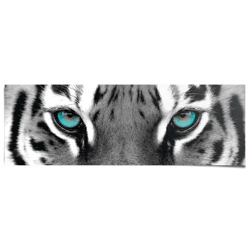Poster Siberische Tijger 53x158