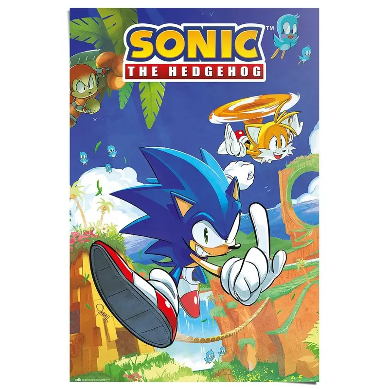 Poster Sonic the Hedgehog - sonic & tails 91,5x61