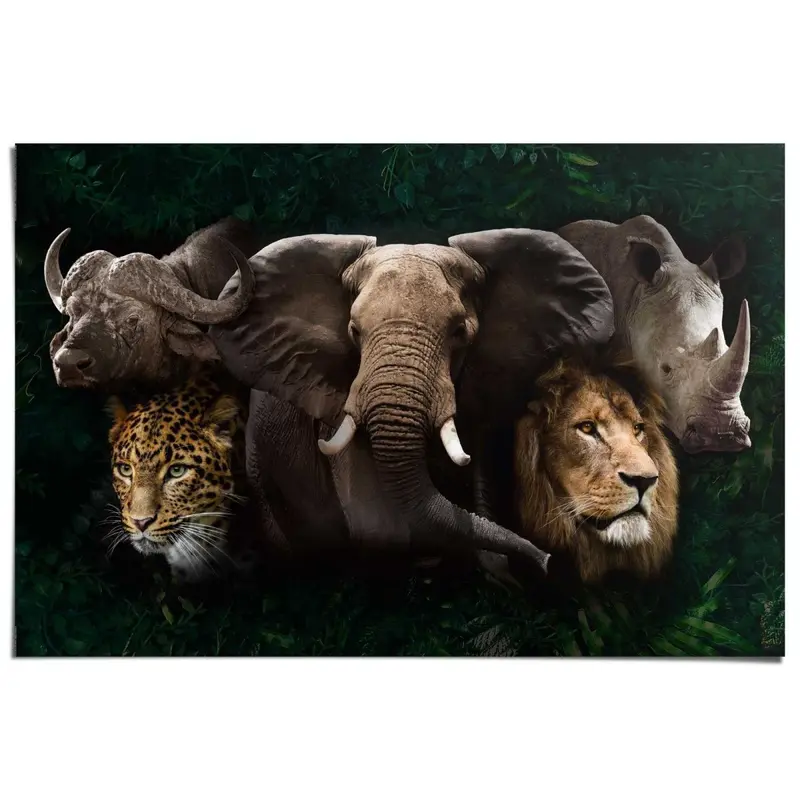Poster The big five 61x91,5