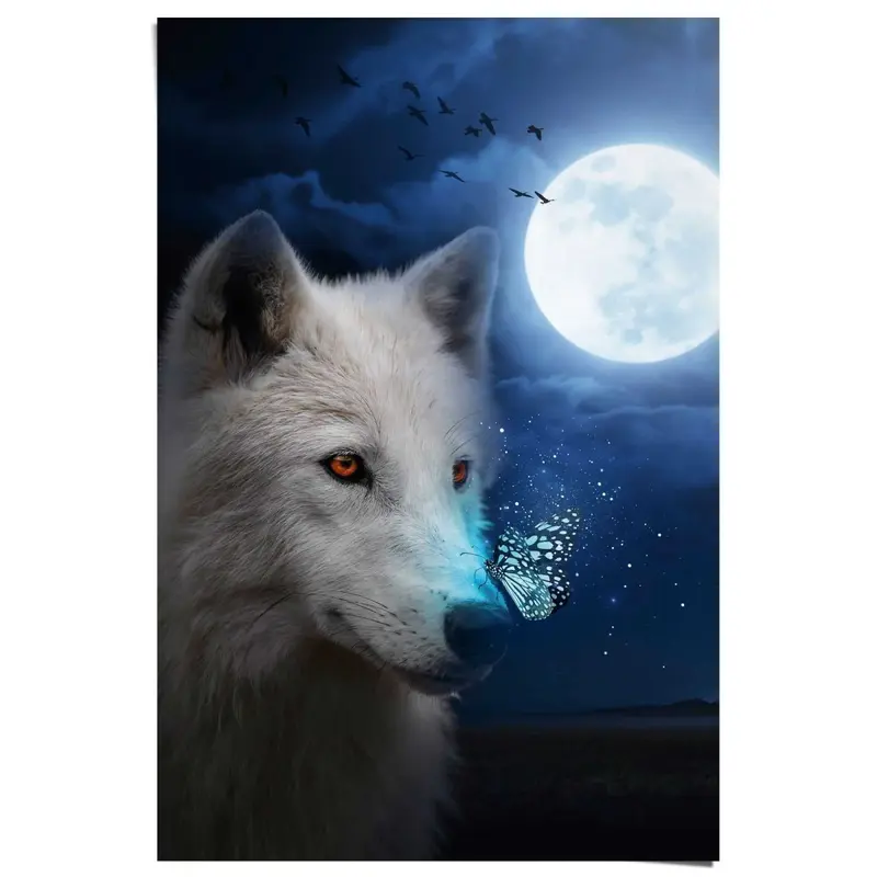 Poster Witte Wolf 91,5x61
