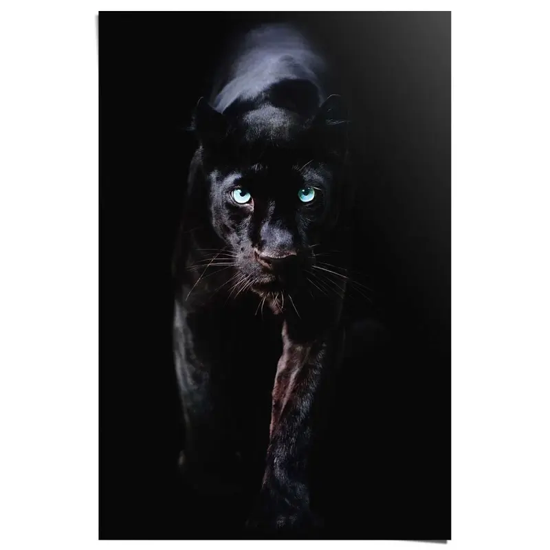 Poster Zwarte Panter 91,5x61