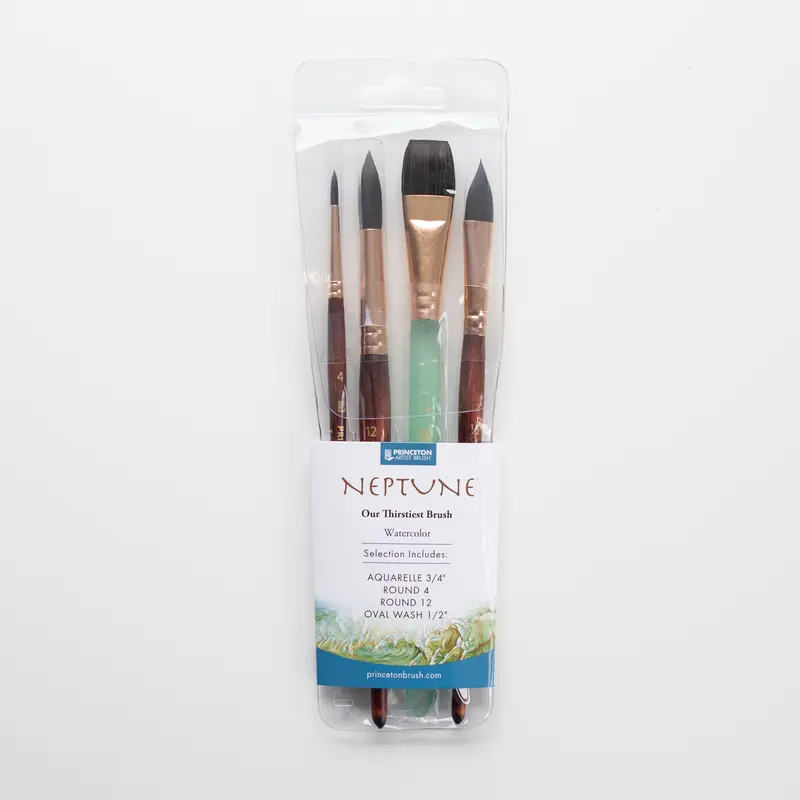 Princeton Neptune Professional 4 pc set