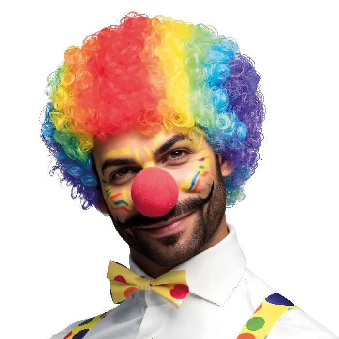 Pruik crazy clown