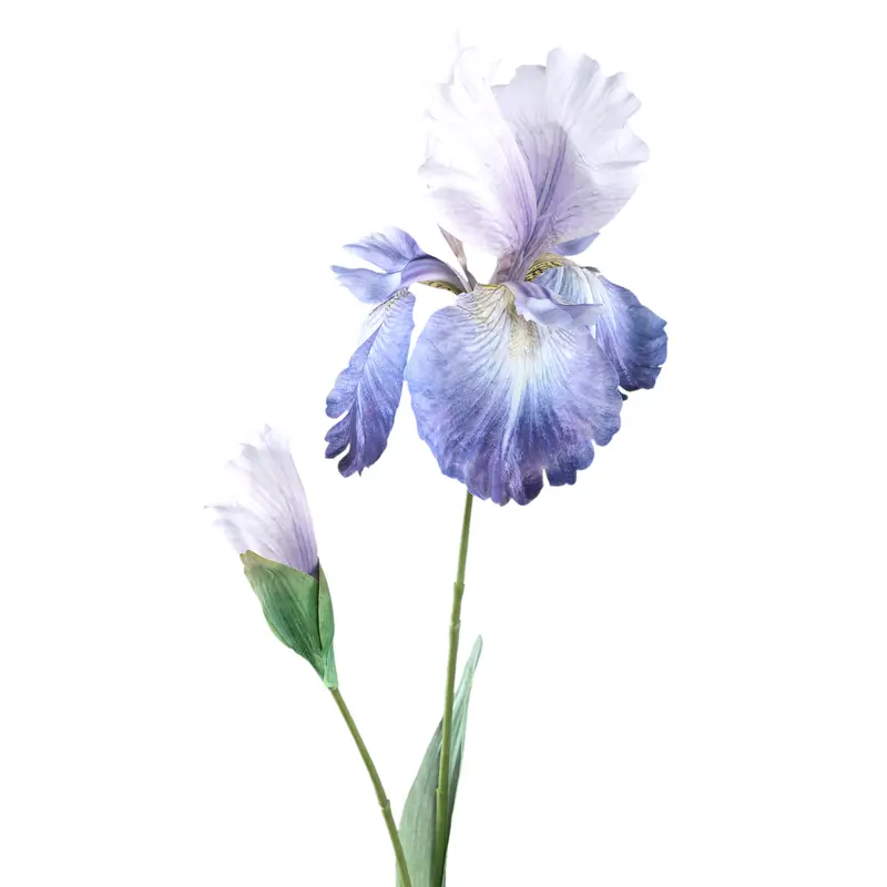 PTMD - Garden Flower Purple white iris spray with bud