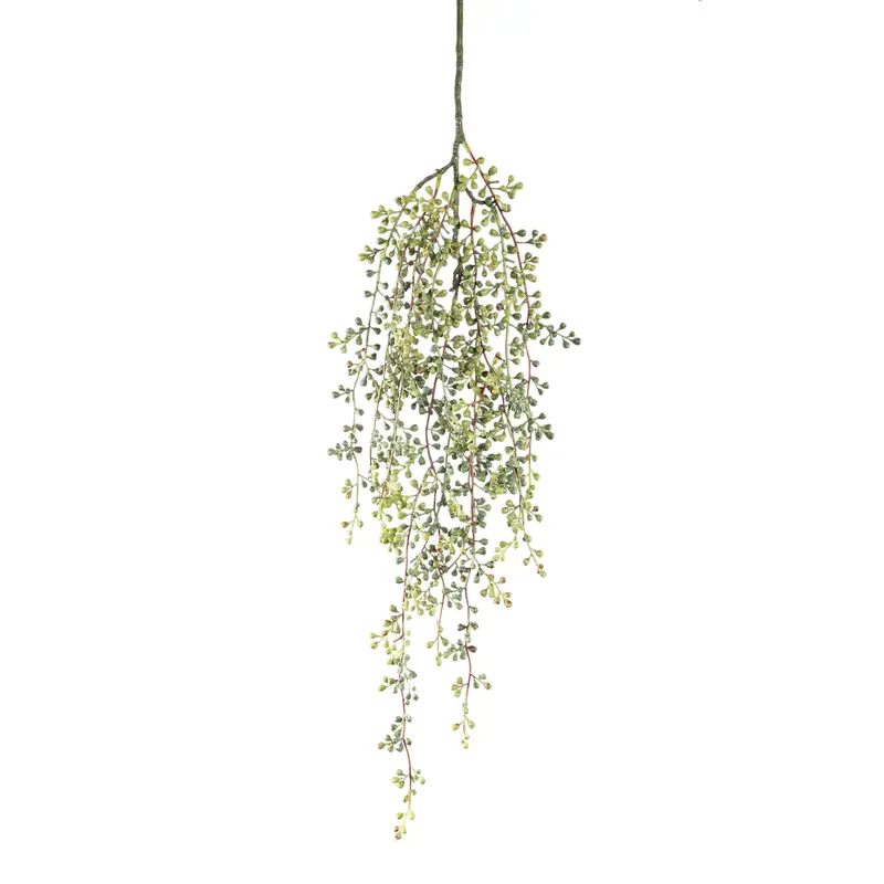 PTMD - Leaves Plant Green berry hanging bush