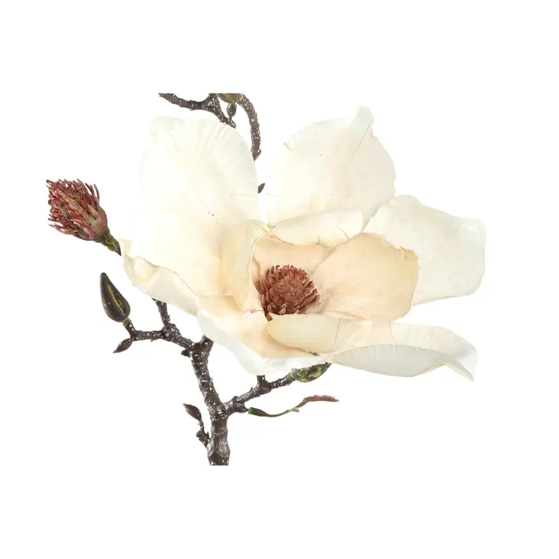 PTMD - Magnolia Flower cream magnolia spray with buds